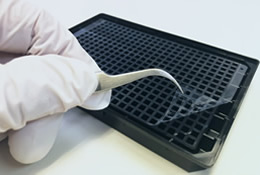 Microplate