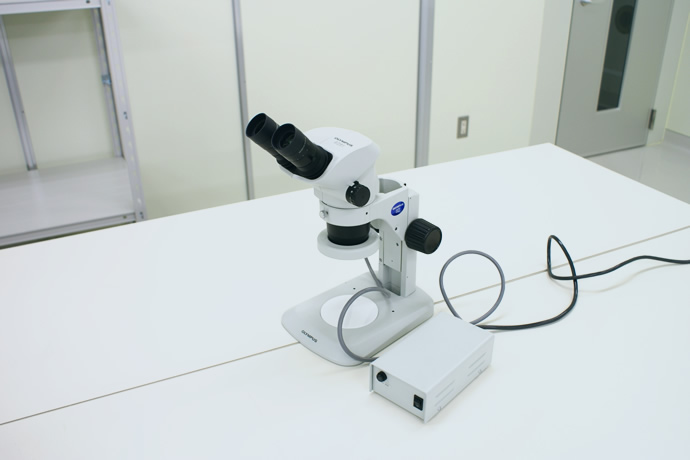 Stereomicroscope